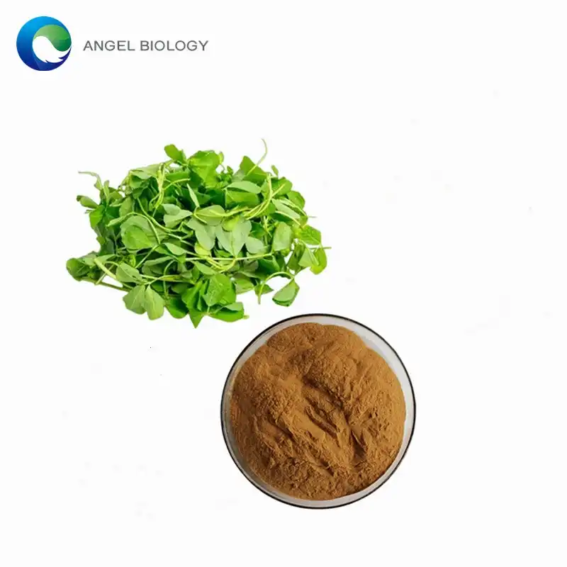 Alfalfa Extract vs. Clover Extract: Nutrient Density